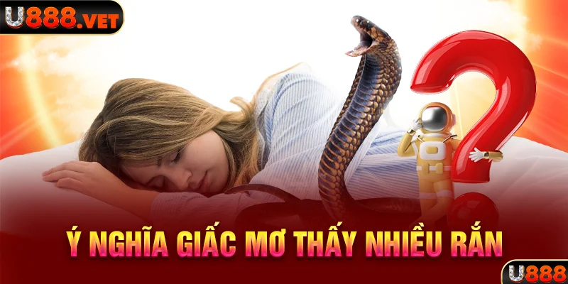 Ý nghĩa giấc mơ thấy nhiều rắn
