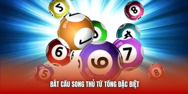 Bắt cầu song thủ từ tổng đặc biệt