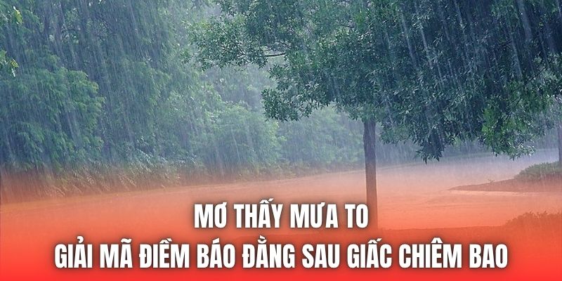 Mơ Thấy Mưa To - Giải Mã Điềm Báo Đằng Sau Giấc Chiêm Bao